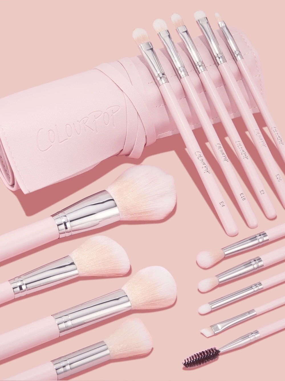 NWT Colourpop Smoke 'N Roses Brush Roll